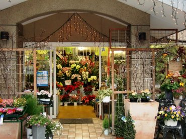 「ふくおかフラワー老司店」　（福岡県福岡市南区）の花屋店舗写真1
